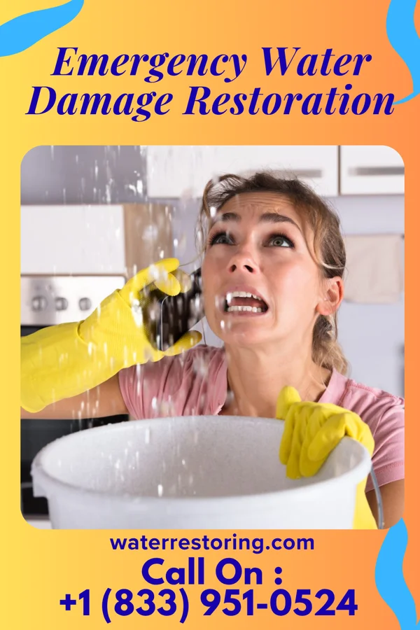 Emergency Water Damage Restoration in Anderson, AL