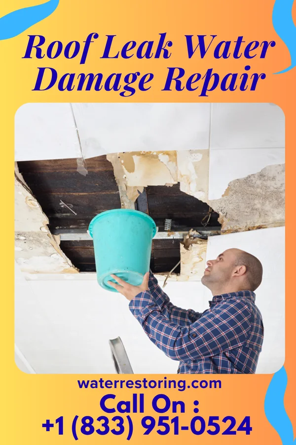 Roof Leak Water Damage Repair in Anderson, AL